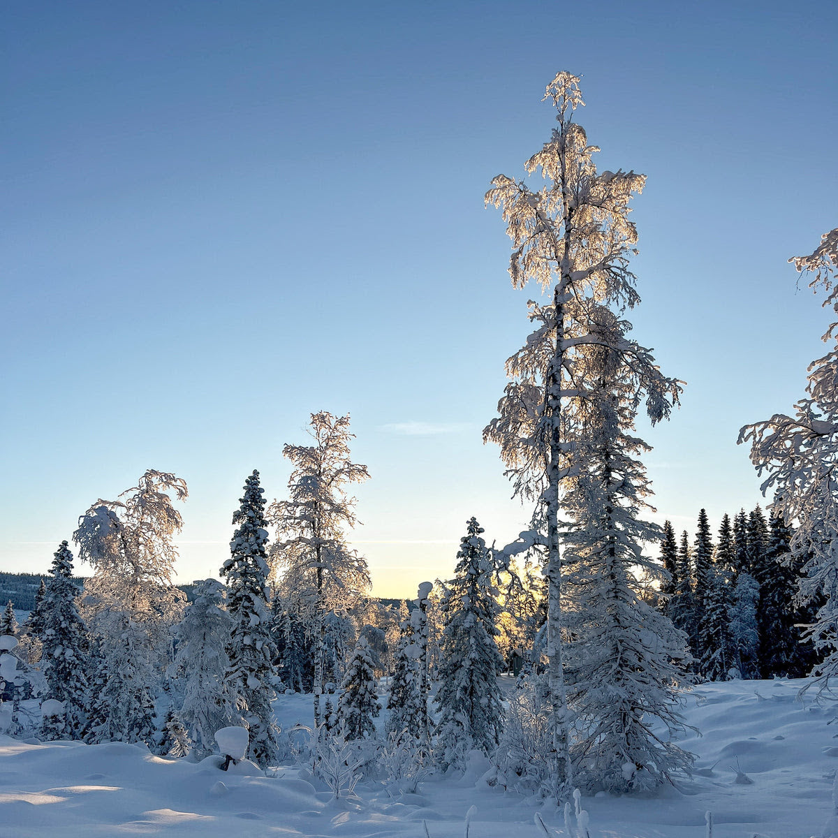 Importance of SPF during Winter